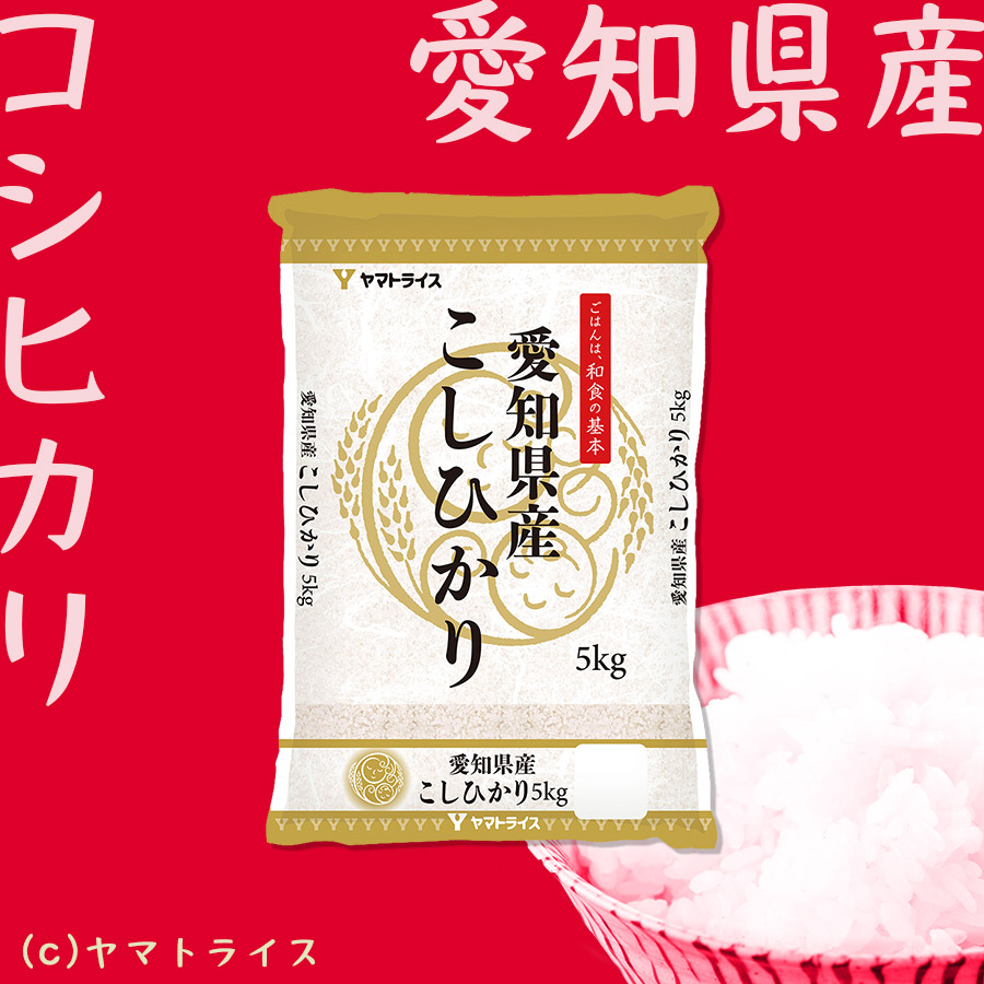 送料無料　コシヒカリ　白米　愛知県産こしひかり10kg（5kg×2袋）