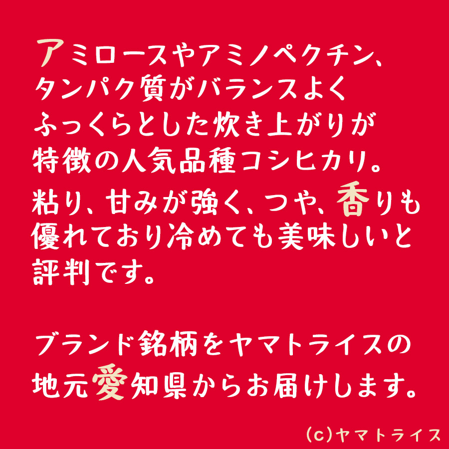 愛知県産こしひかり