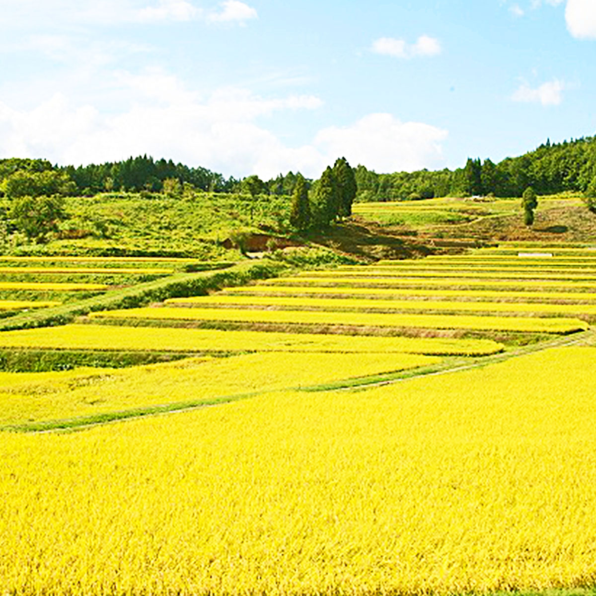 秋田県の風景