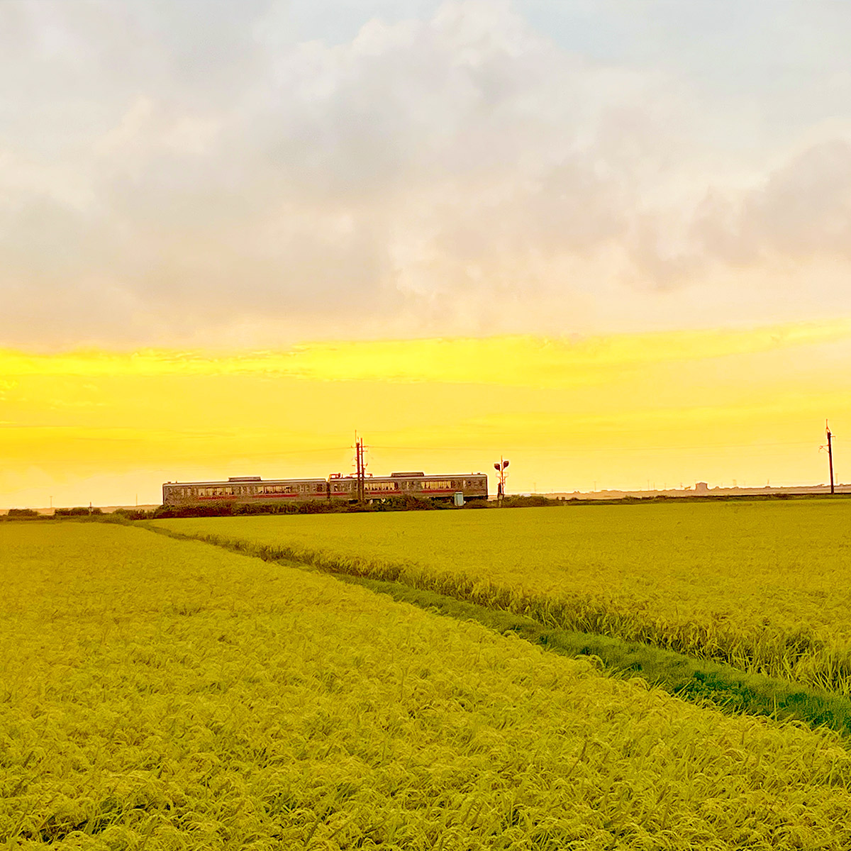 秋田県産風景