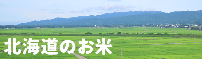 北海道産｜ヤマトライス