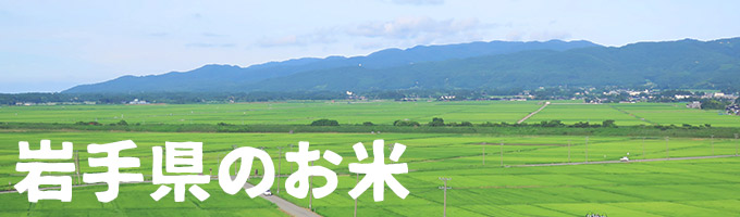 岩手県産｜ヤマトライス