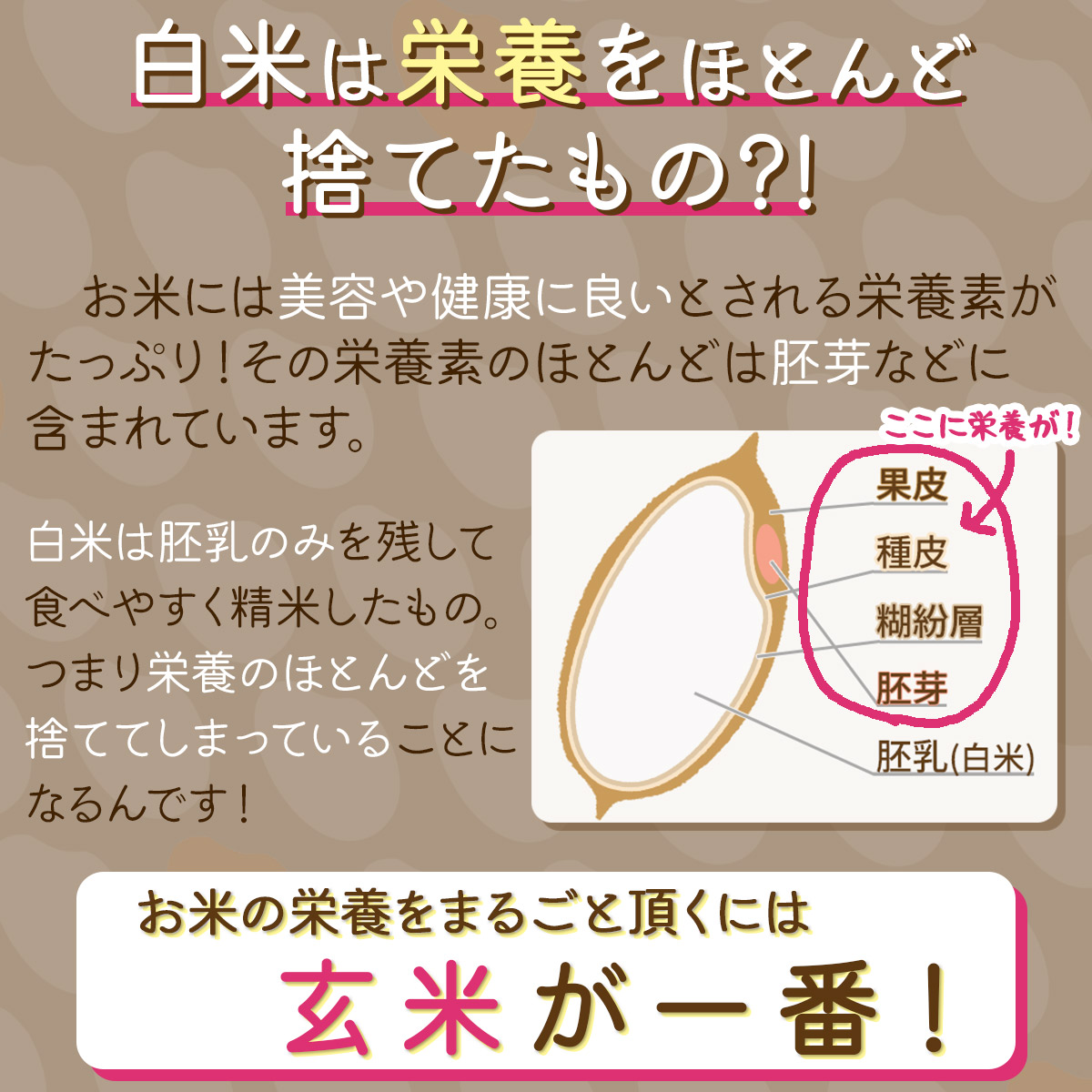 玄米の栄養