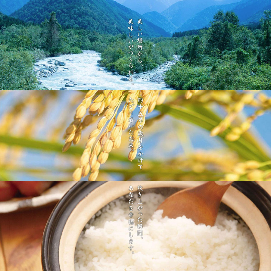 富山県産富富富4