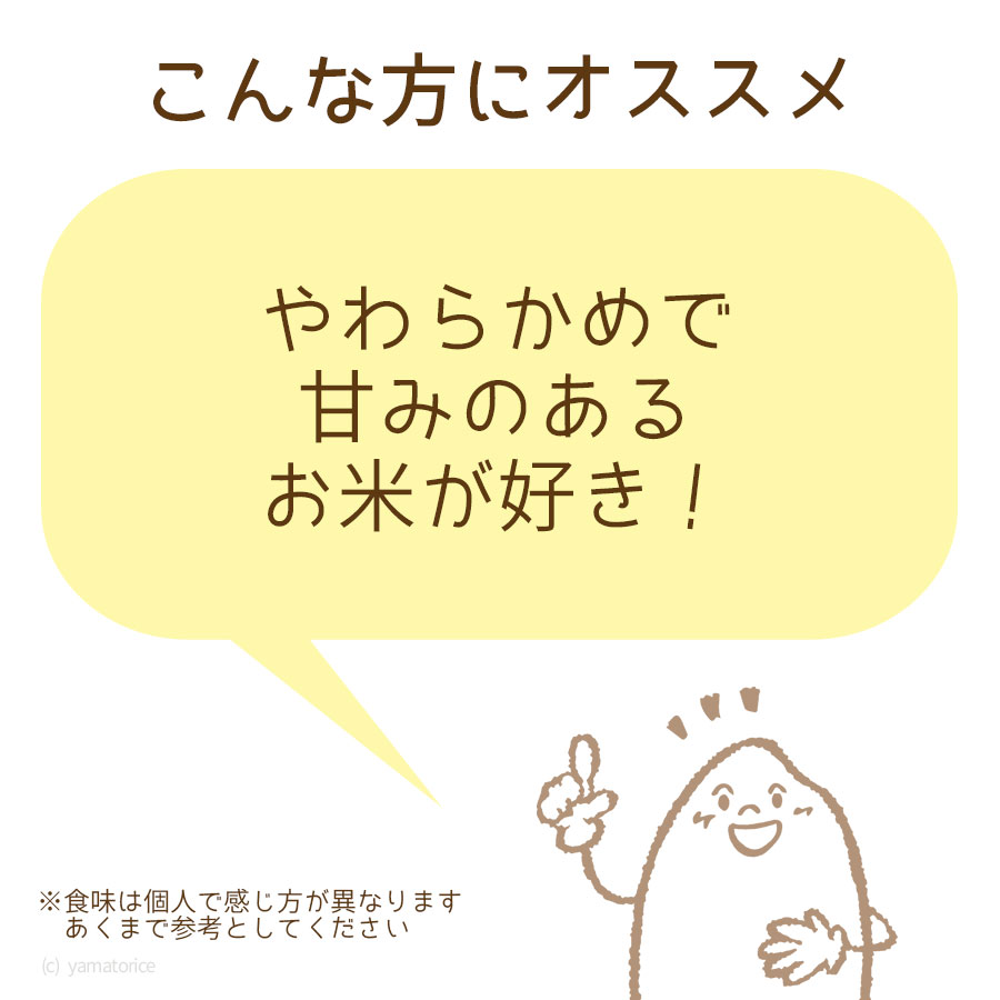 その他 ヤマトライス本店 創業110年の信頼と実績