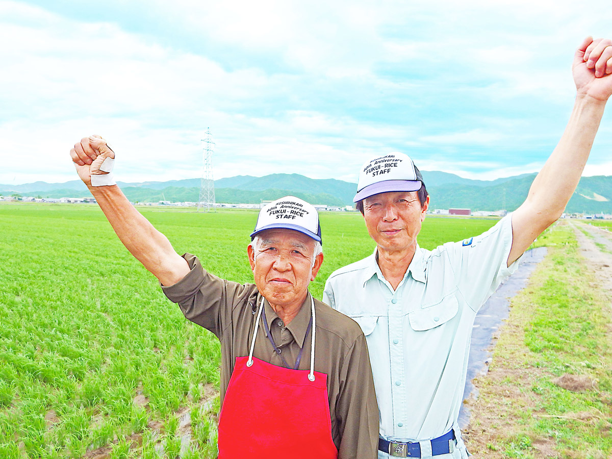 福井県農家