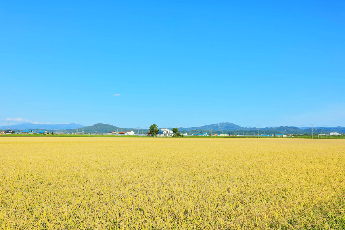 福井風景