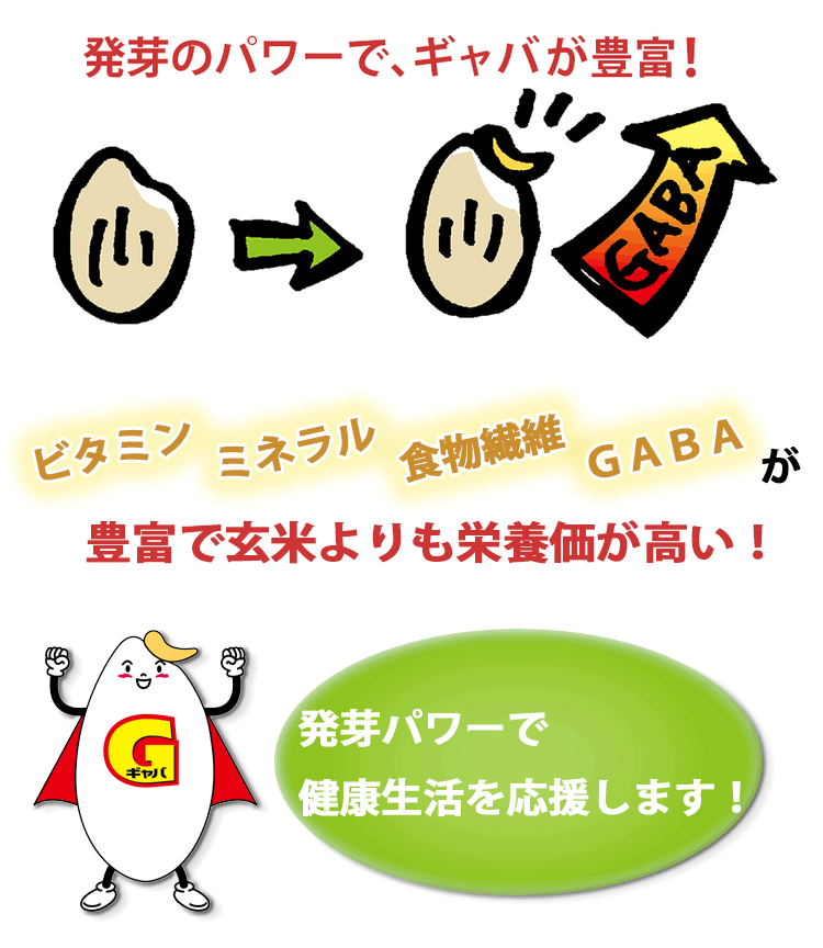 発芽のパワーでギャバが豊富! width=
