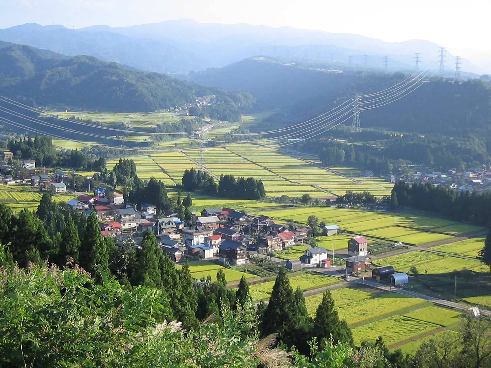 北海道の風景