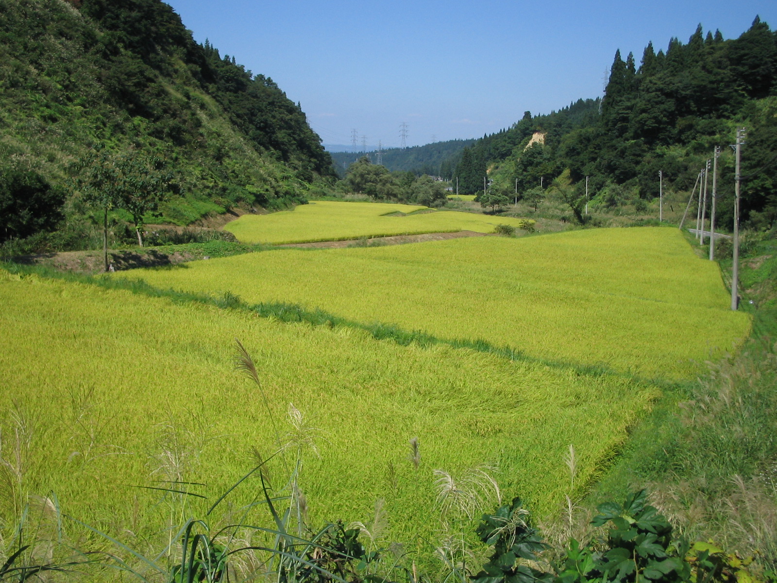 北海道の風景