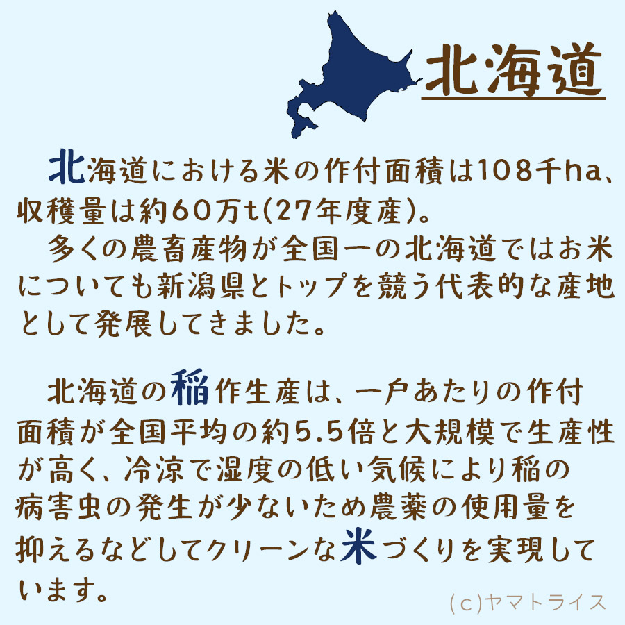 北海道産ななつぼし白米10kg（5kg×2）