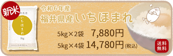 福井いちほまれ