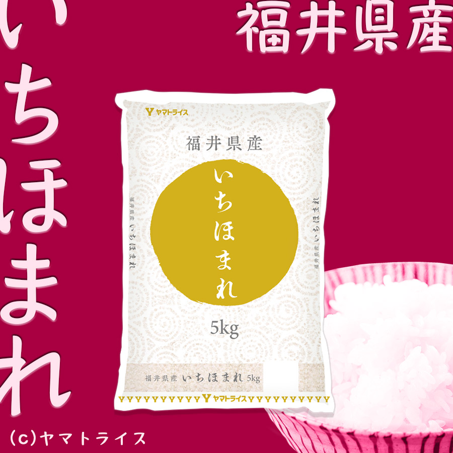 5kg　いちほまれ　ヤマトライス　本店　新米】福井県産　令和5年産