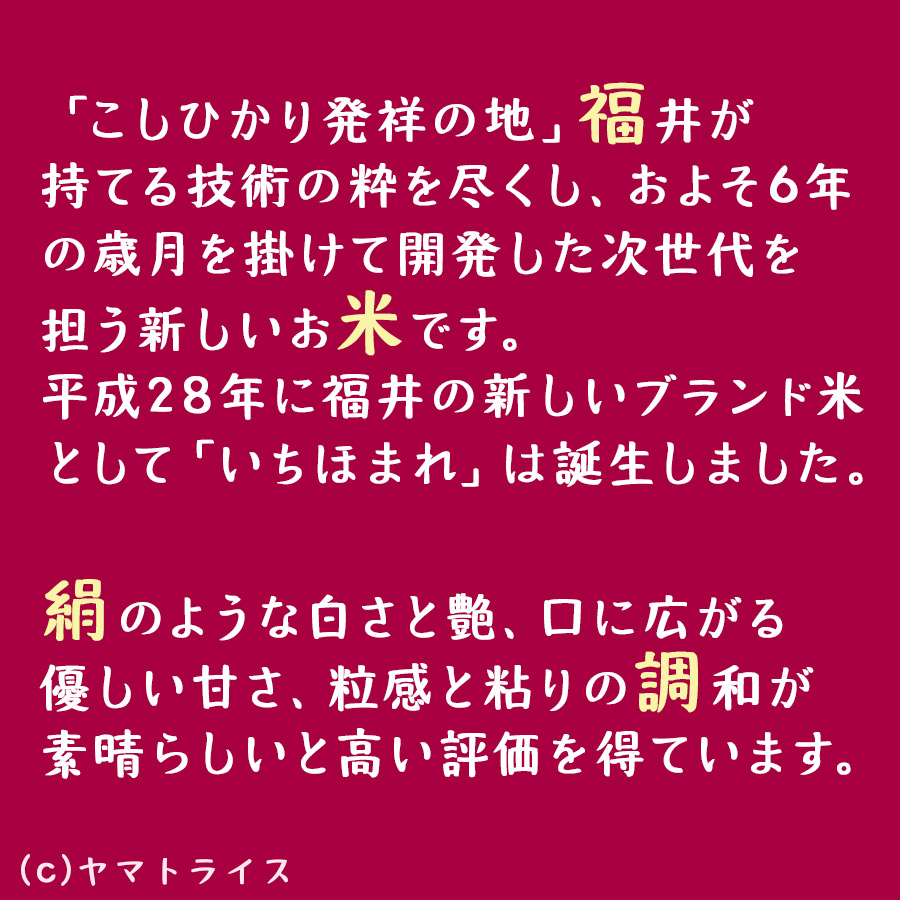 福井県産いちほまれは