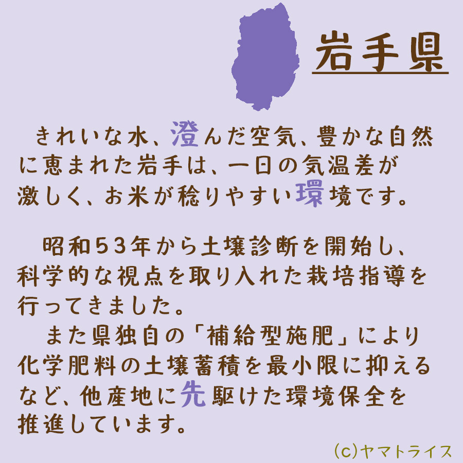 無洗米】岩手農薬節減米ひとめぼれ10kg（5kg×2袋)　本店　令和5年産　ヤマトライス