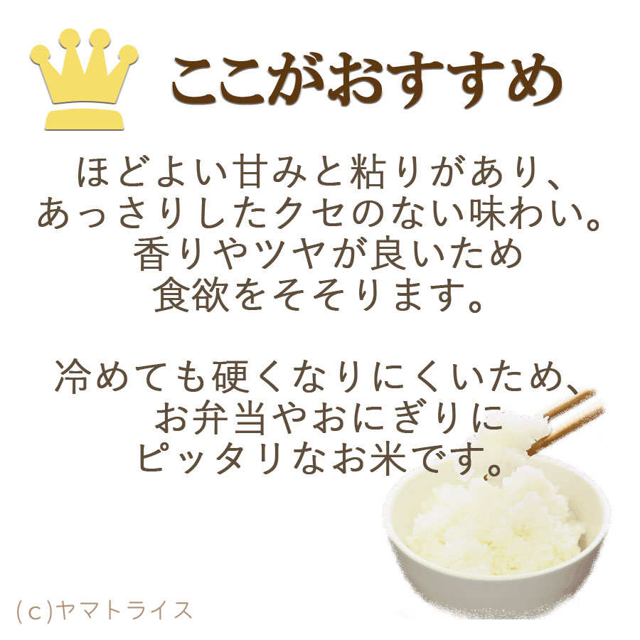 送料無料　令和4年産　白米愛知県産あいちのかおり10kg（5kg×2袋）