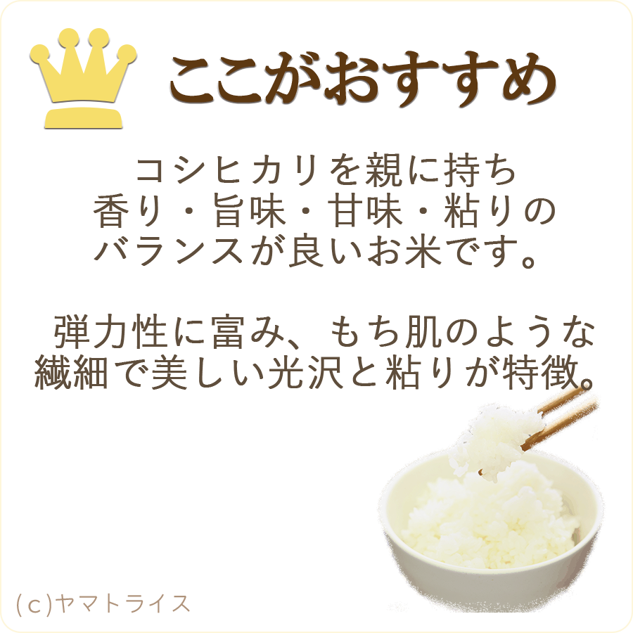 無洗米】秋田県産あきたこまち　10kg（5kg×2袋）