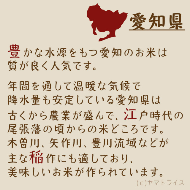 数量限定】 お米5キロ コシヒカリ100% 愛知県美浜町産 令和4年度