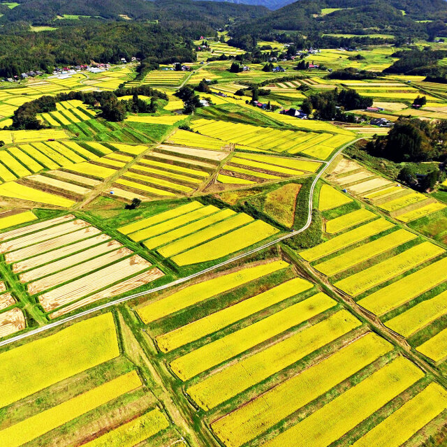 岩手風景