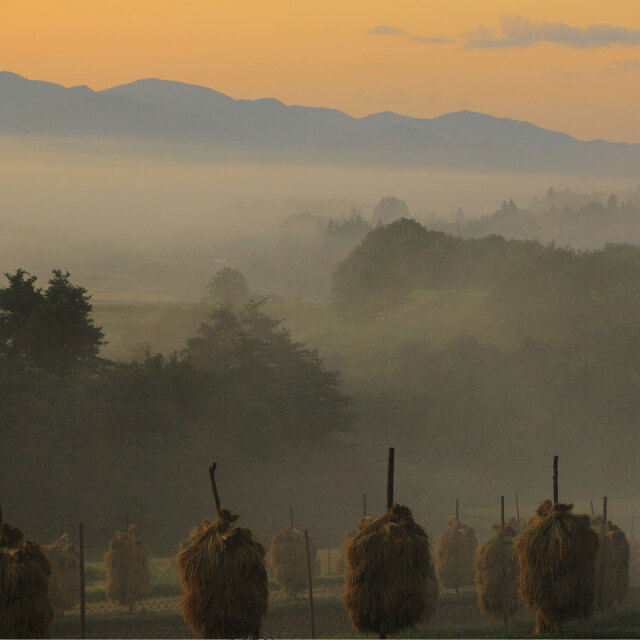 岩手風景