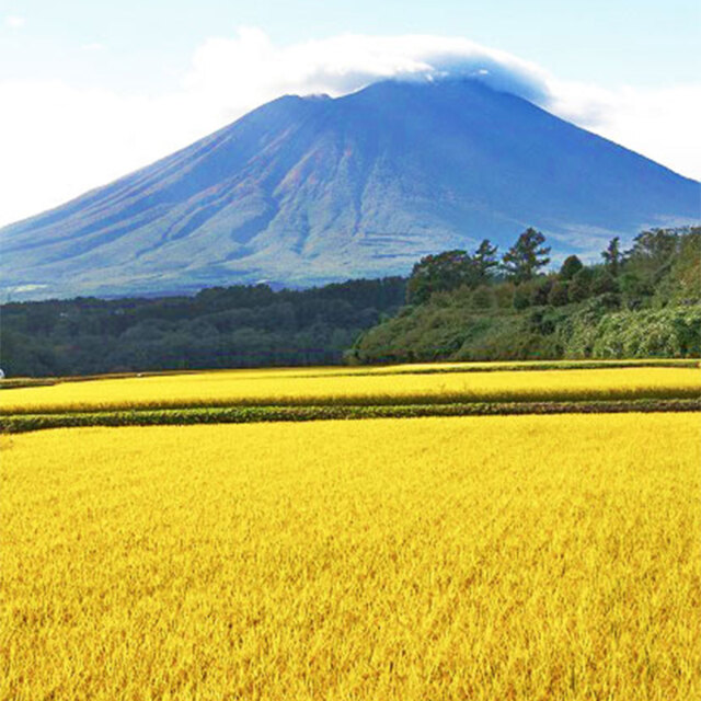 岩手風景