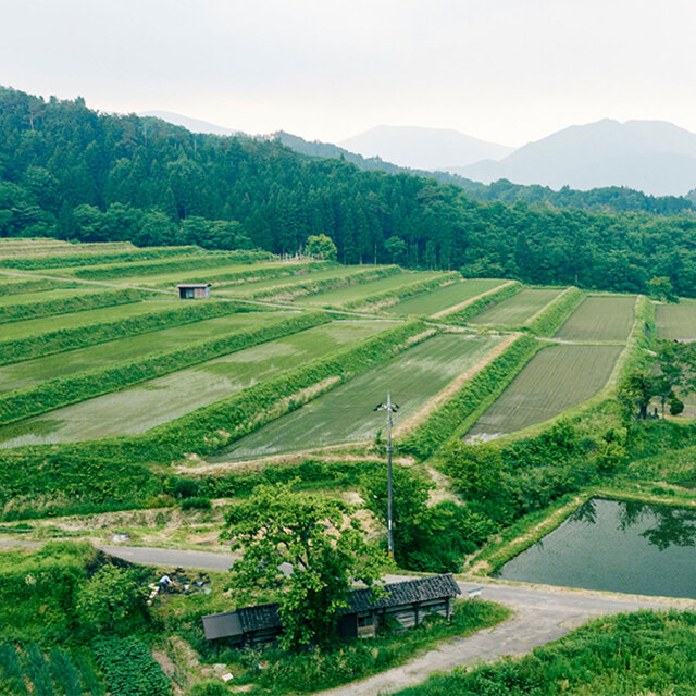 島根県棚田風景