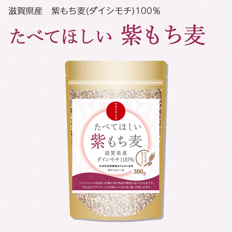 もち麦】たべてほしい紫もち麦　300g×4袋　滋賀県産　ダイシモチ