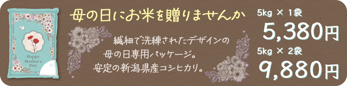 母の日コシ2026
