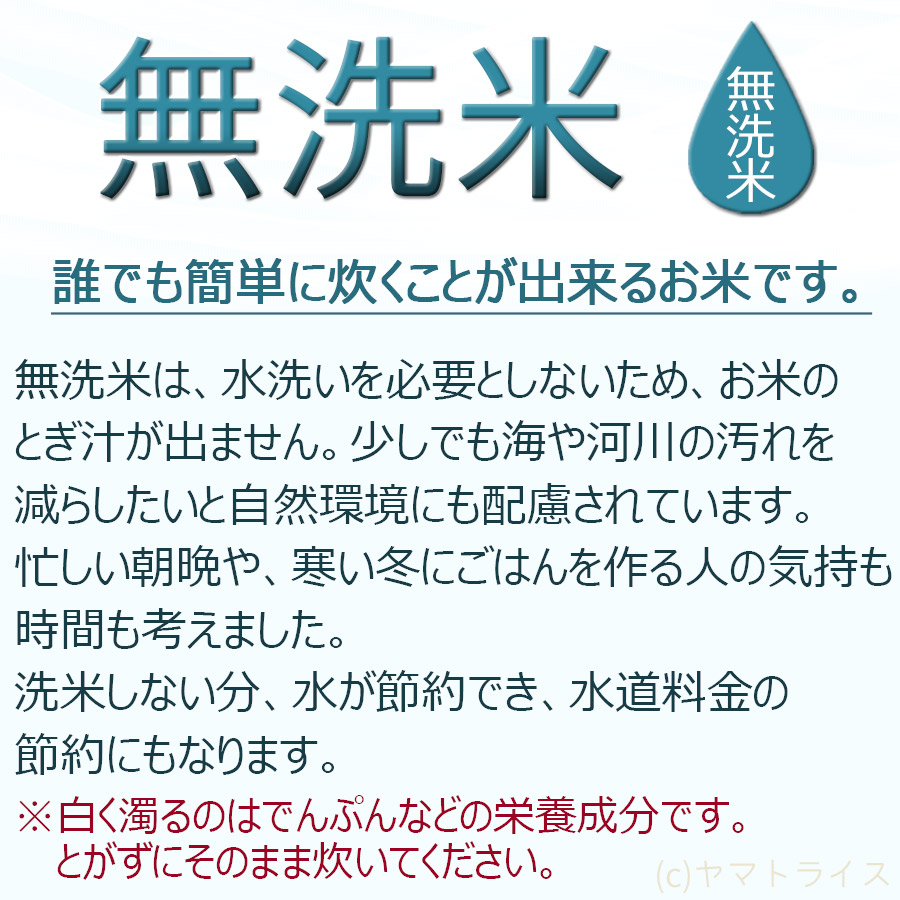 無洗米　令和5年産　ヤマトライス　富山県産コシヒカリ　5kg(5kg×1袋)　本店