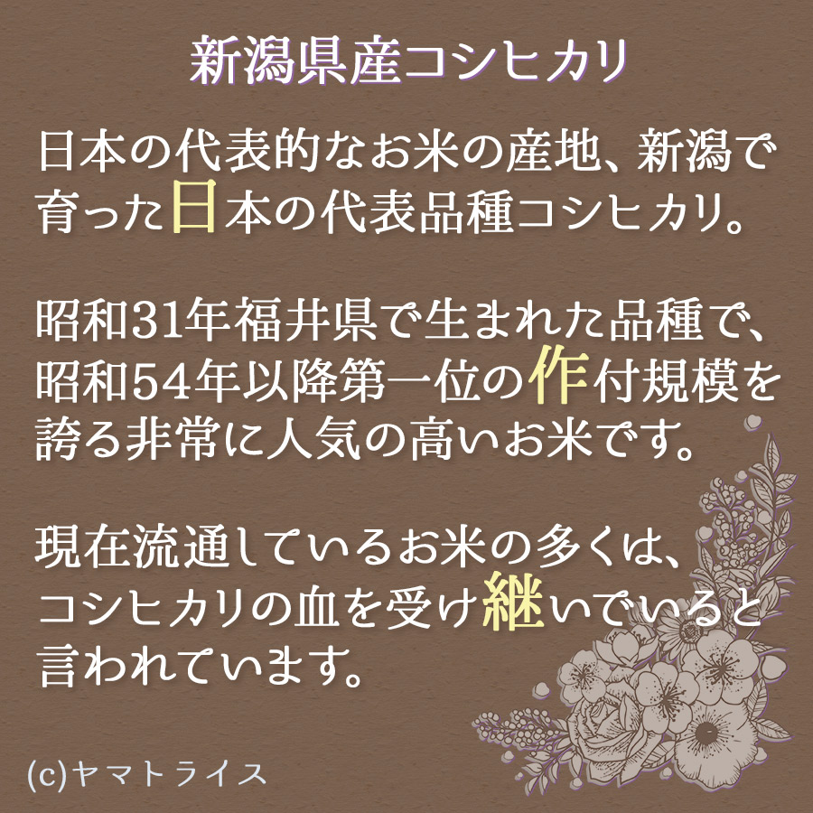 母の日新潟コシ3