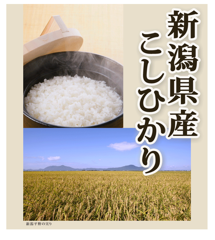 新潟県