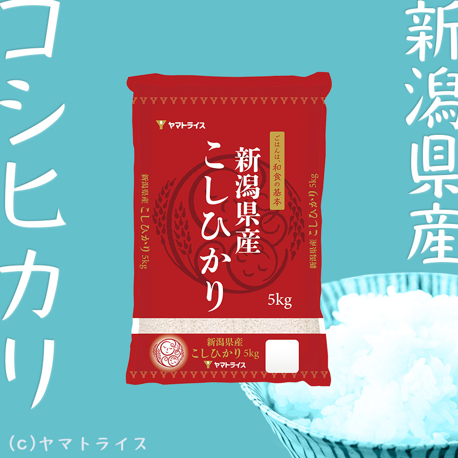 ヤマトライス　コシヒカリ　新潟県産　令和5年産　5kg　本店