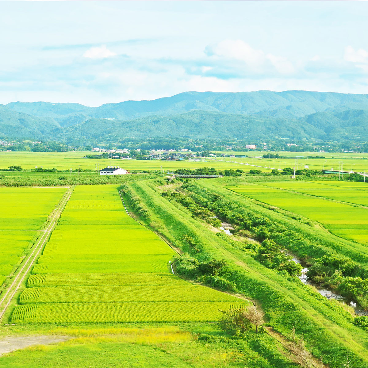 新潟風景