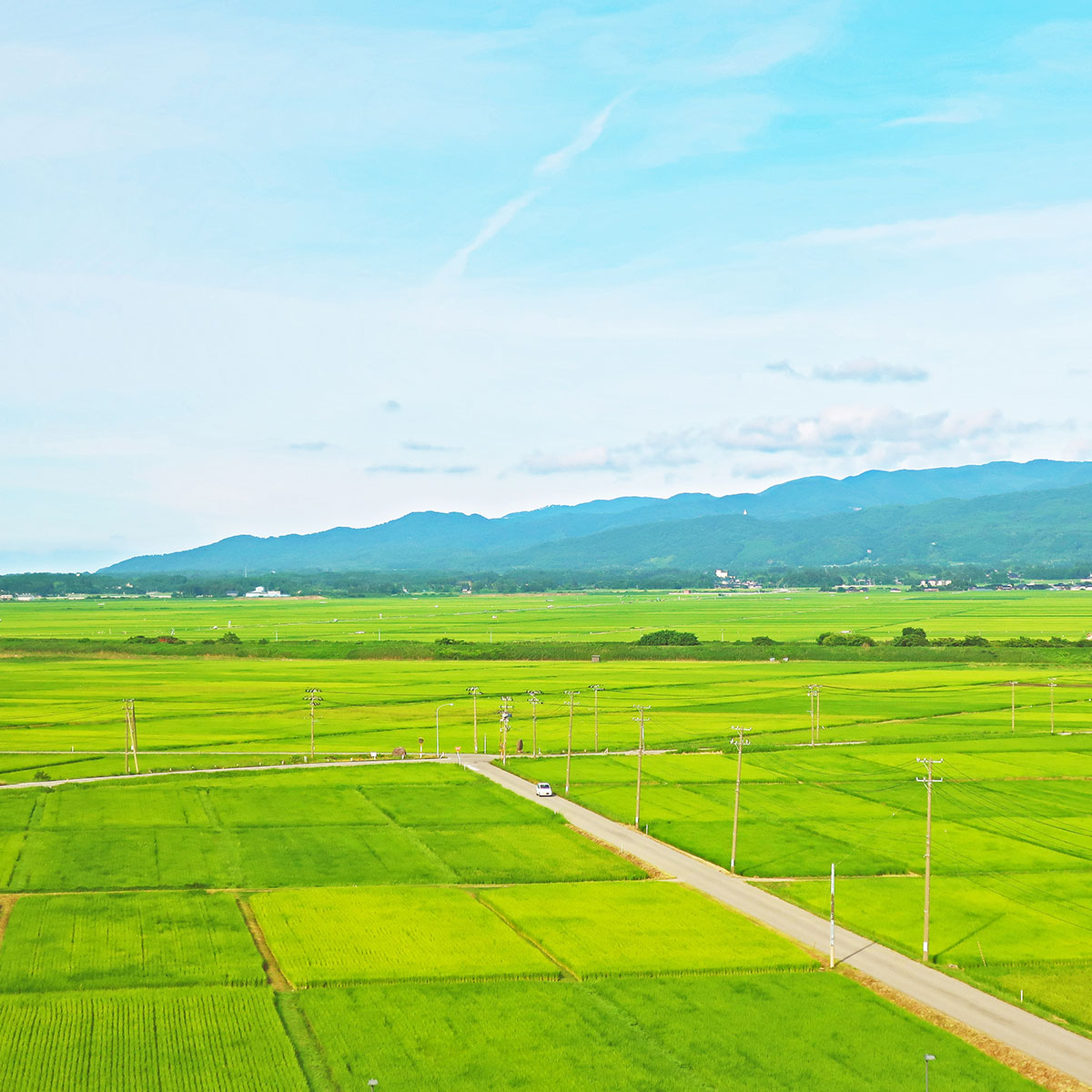 新潟県