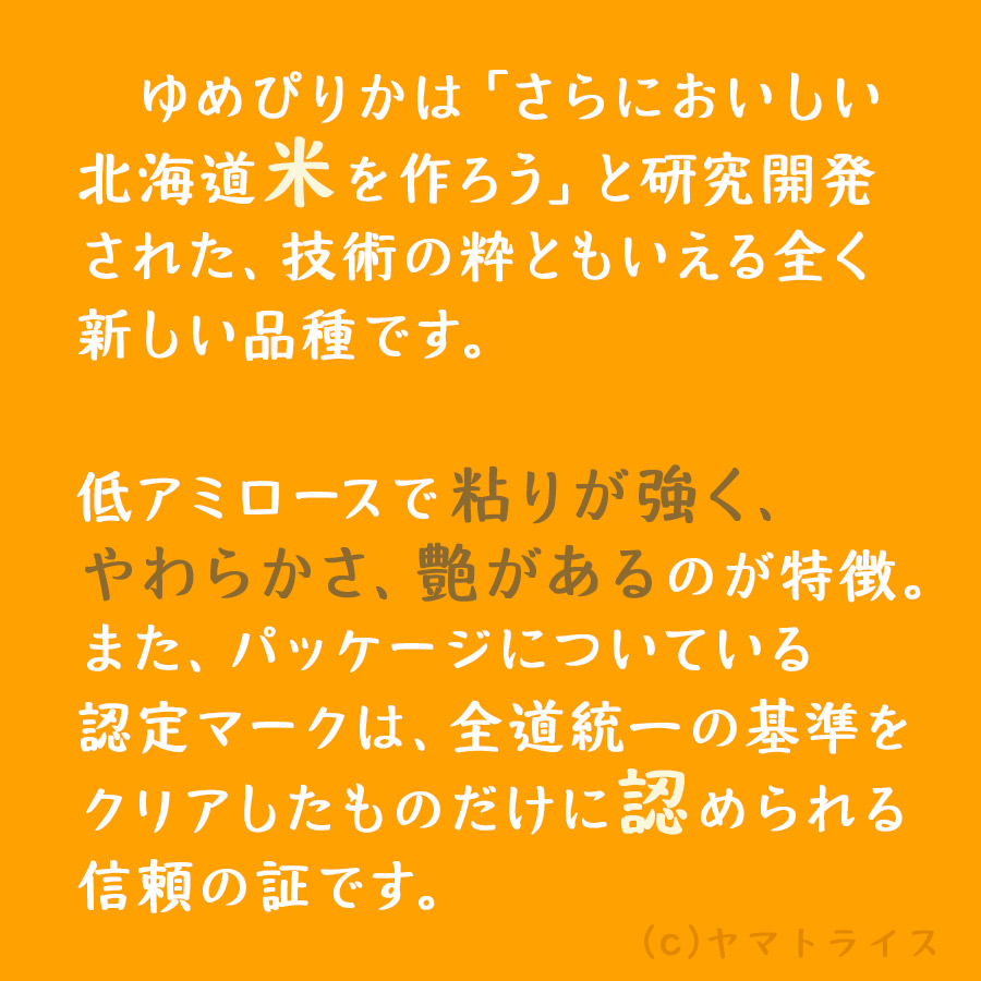 2袋　無洗米　北海道産ゆめぴりか　5kg　x