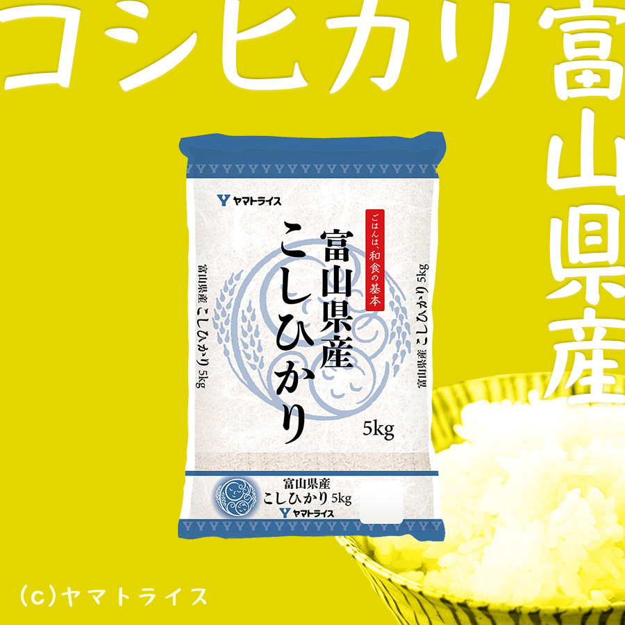 新米】富山県産コシヒカリ　令和5年産　ヤマトライス　白米　10kg(5kg×2袋)　本店