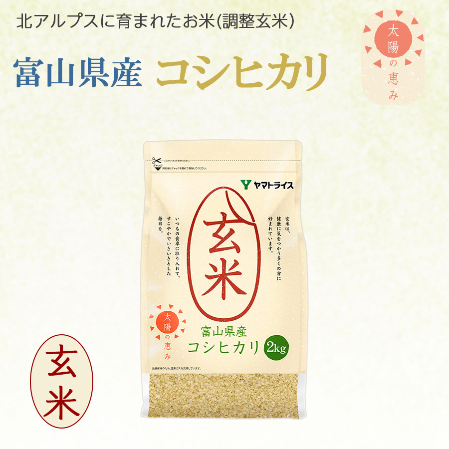 富山県産コシヒカリ 玄米 2kg(2kg×1袋) 令和5年産