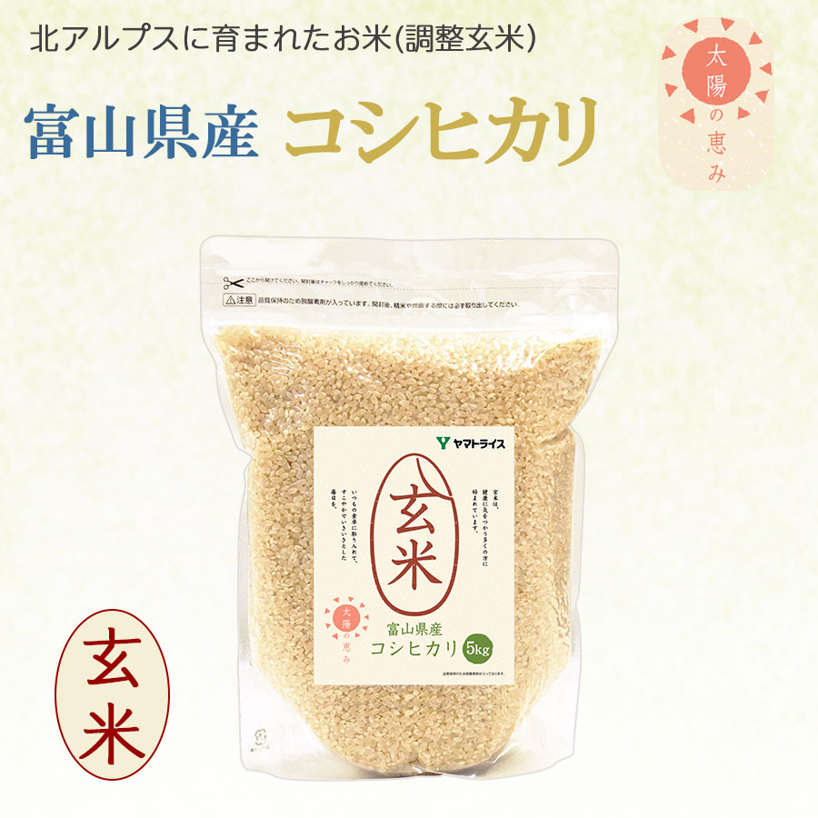 5kg(5kg×1袋)　令和5年産　新米】富山県産コシヒカリ　本店　玄米　ヤマトライス