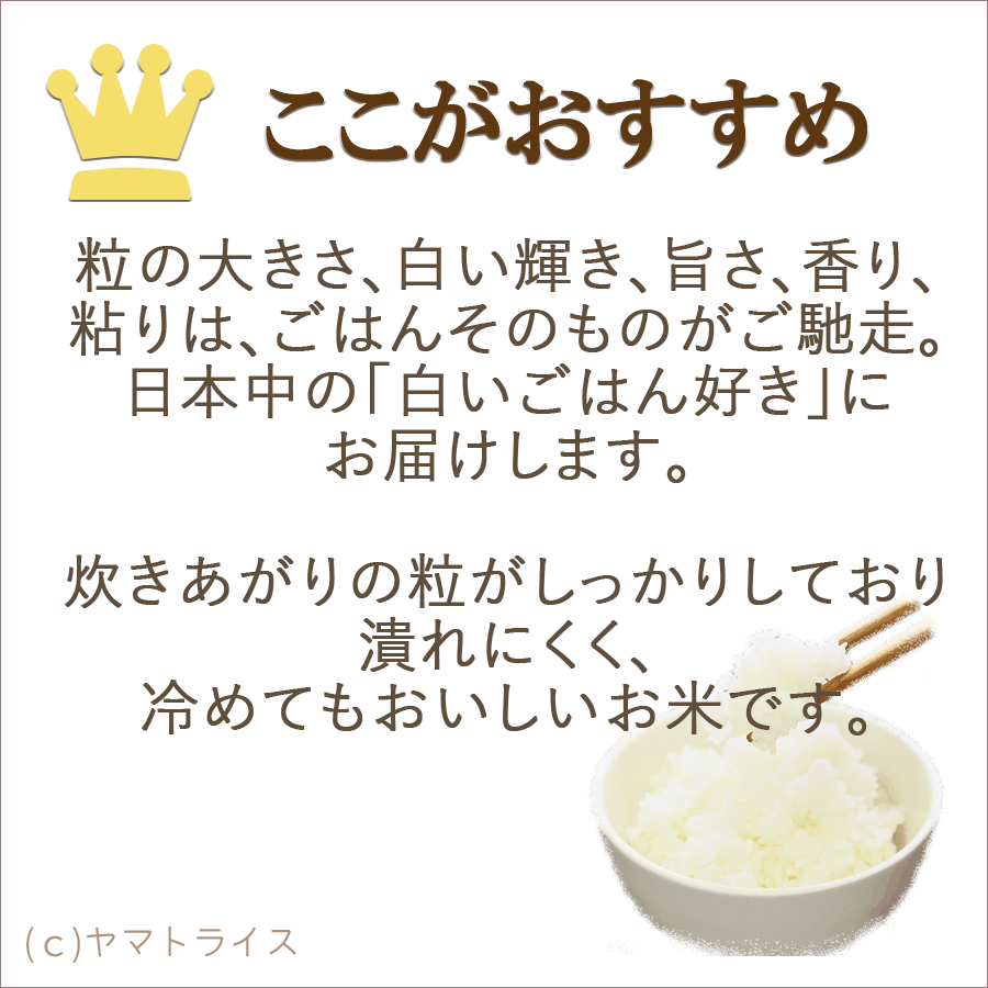 5kg(5kg×1袋)　山形県産つや姫　無洗米