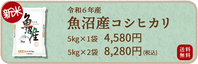 魚沼産こしひかり