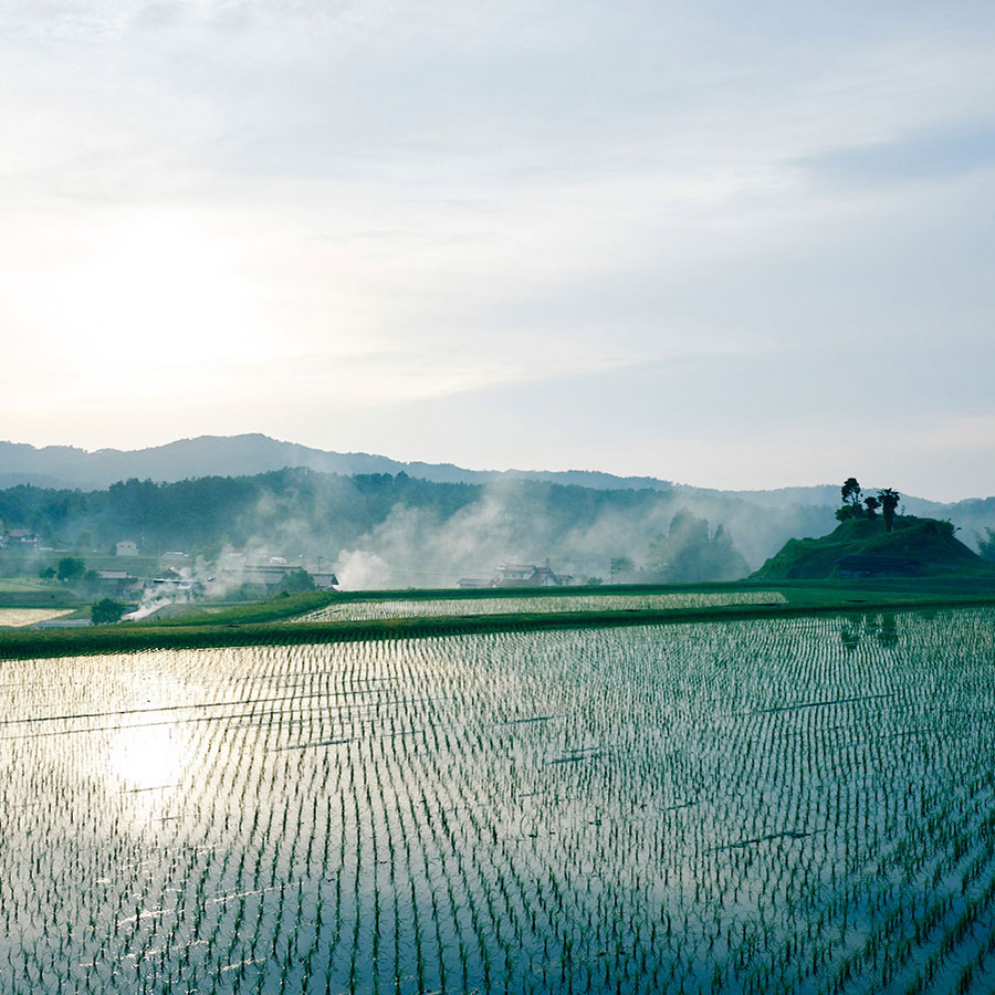 島根県圃場風景