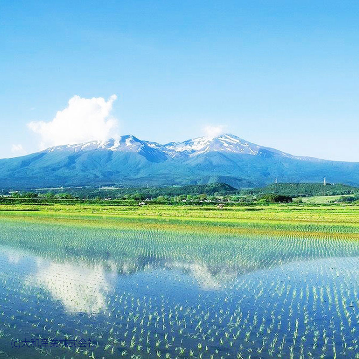 山形県圃場