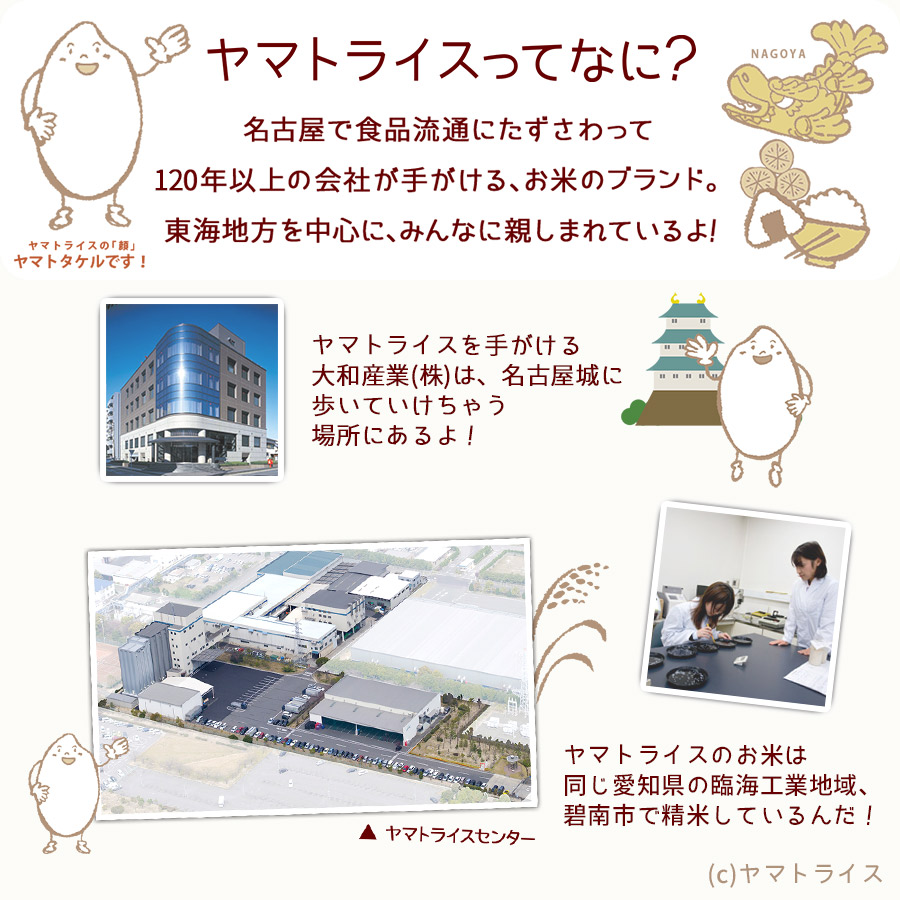 ヤマトライスって